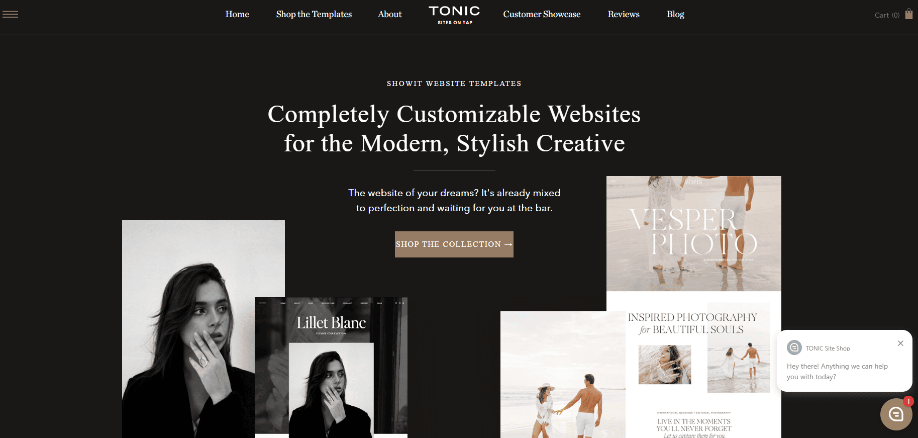 Tonic Site shop is a high paying affiliate program. 