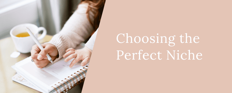 Choosing the perfect niche