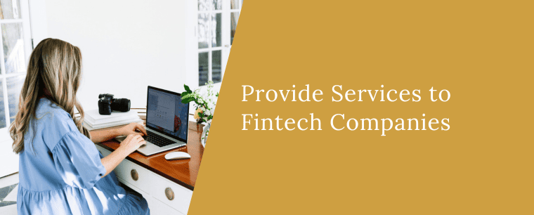 Provide Services to Fintech Companies