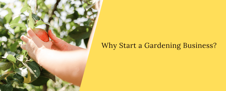 Why start a gardening business?