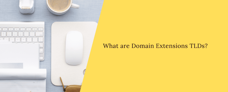 What are Domain Extensions TLDs?