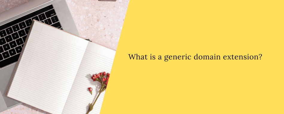 What is a generic domain extension?